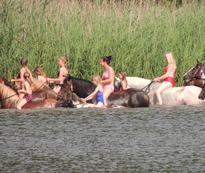 Riding horses into the water in the Goldberg-Mildenitz region // &copy; Tourismusverein Waelder, Seen und Mehr e.V.
